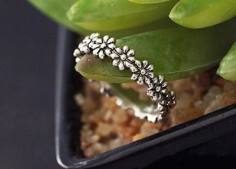 Ring Daisy Flower