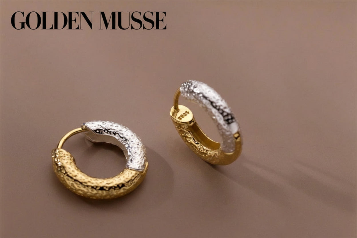 Earrings Classic Silver Hoop
