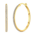 Earrings Golden Radiance Zircon Stud