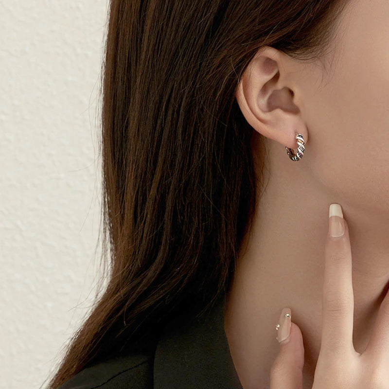 Earrings Rainbow Stripe Hoop