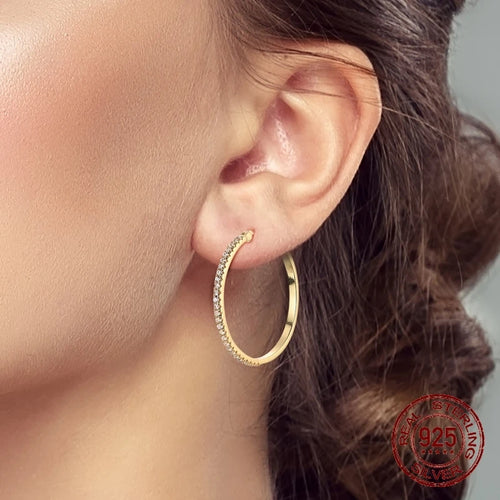 Earrings Golden Radiance Zircon Stud